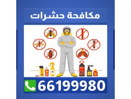 افضل رش حشرات وقوارض لجميع محافظات الكويت 