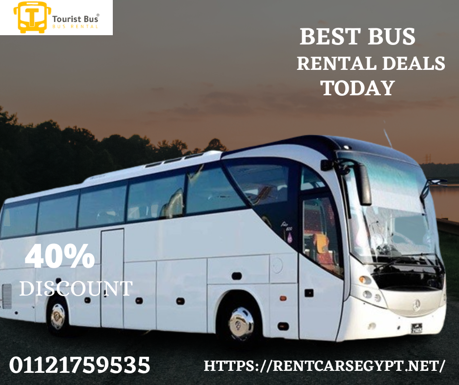  Charter bus 50-seater Egypt  Bus hire for 50 people in Egypt Egypt large group bus rental