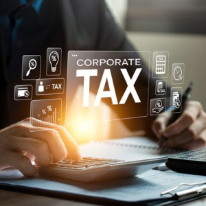 Corporate Tax Registration Services by Tulpar Global Taxation in UAE   