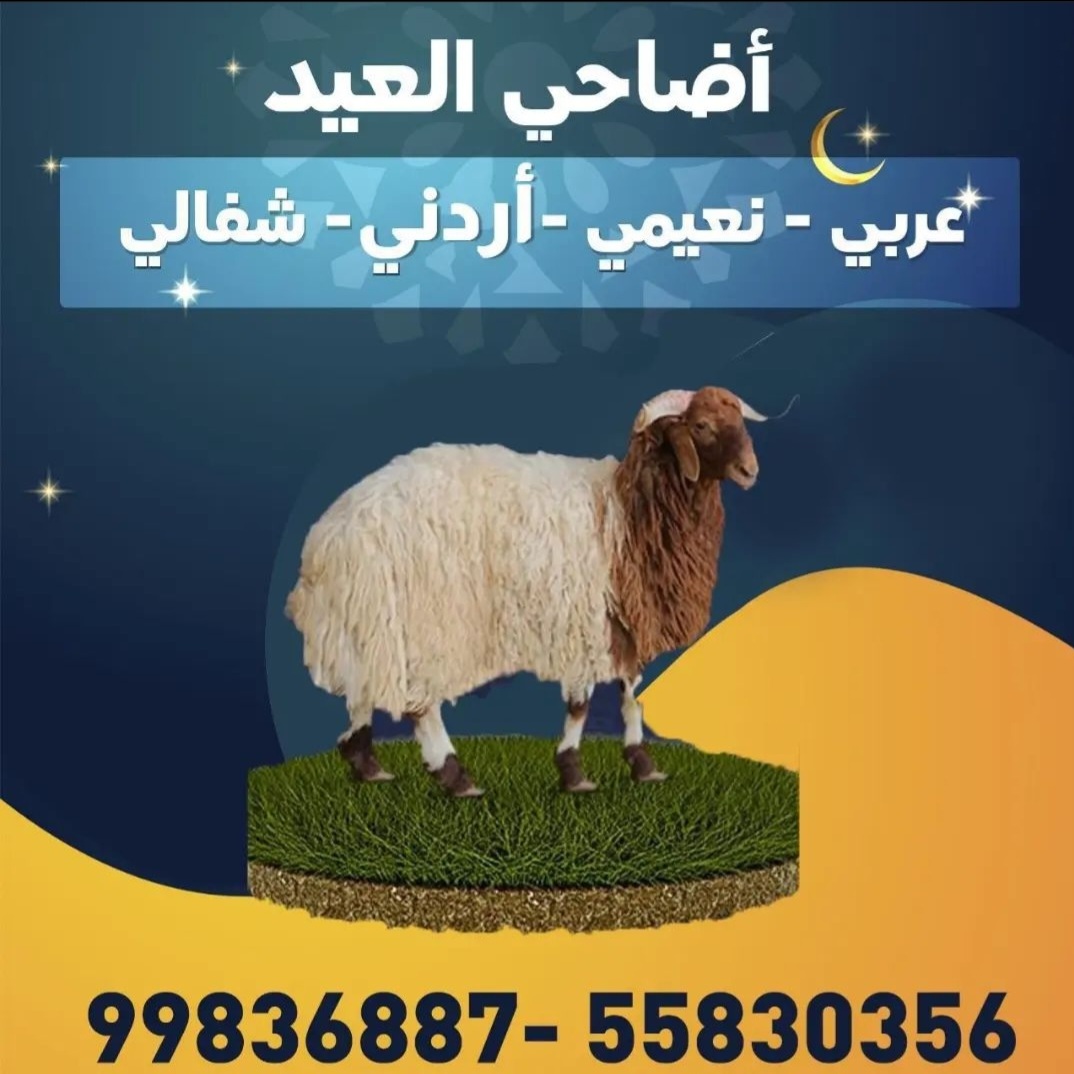 أضاحي العيد  عربي _ نعيمي _ إردني _ شفالي