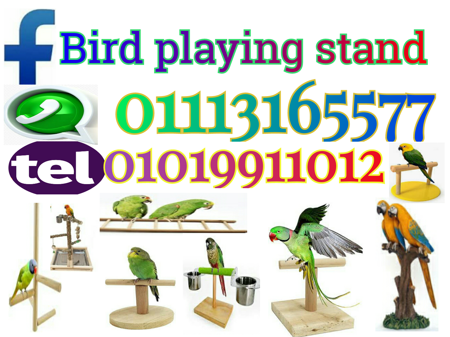 Parrot Stand tree wood استاند ببغاء و طيور زينة و ببغاوات