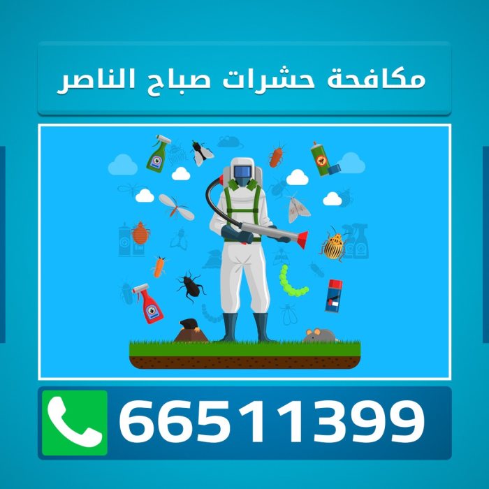 مكافحة حشرات مبارك الكبير 60312020