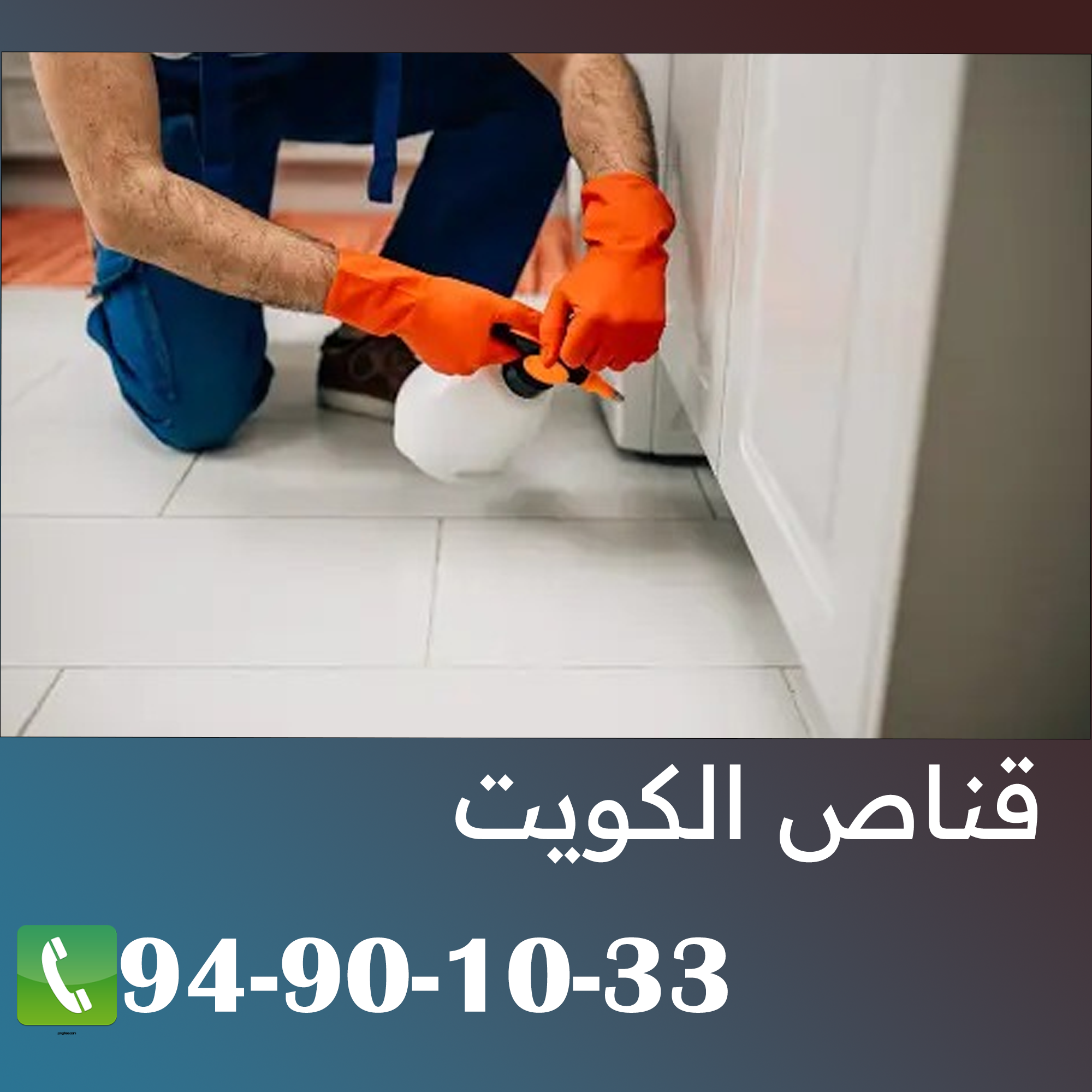 القضاء على الحشرات 94901033