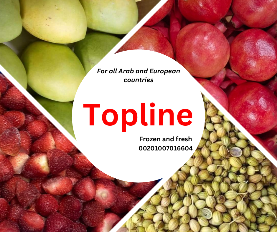  Topline export Egyptian fruits, vegetables and herbs to all Arab and European counrtry 